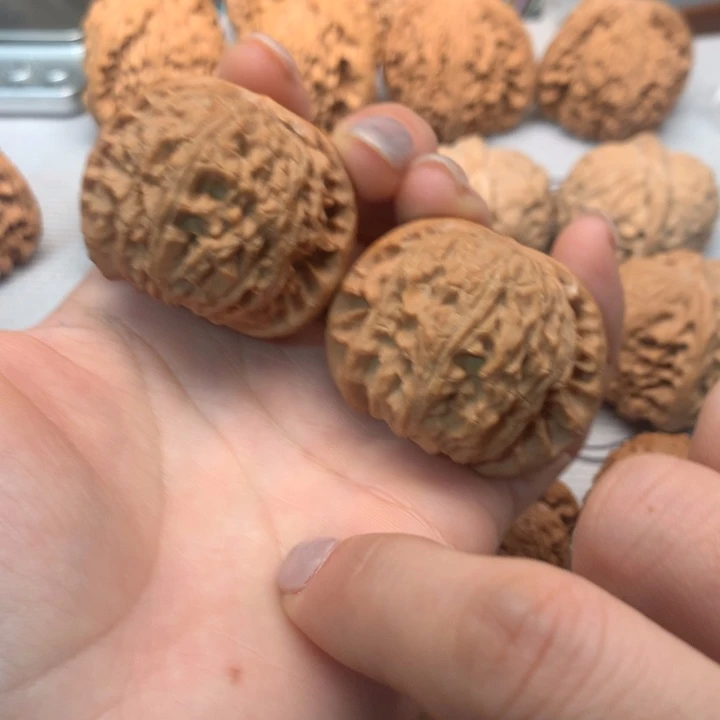 L***i文玩核桃把件白狮子42