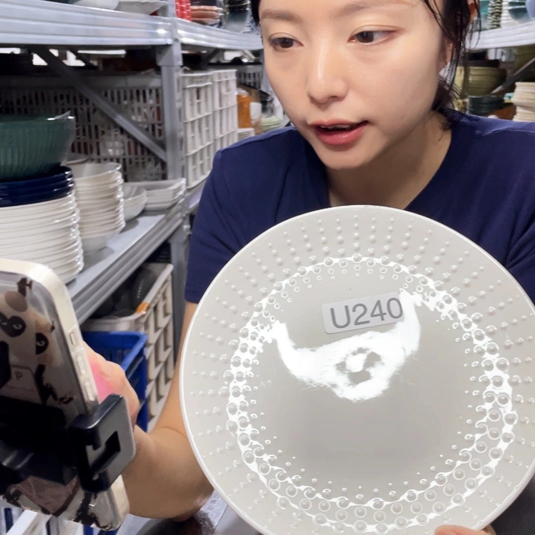 瓷片240          2个