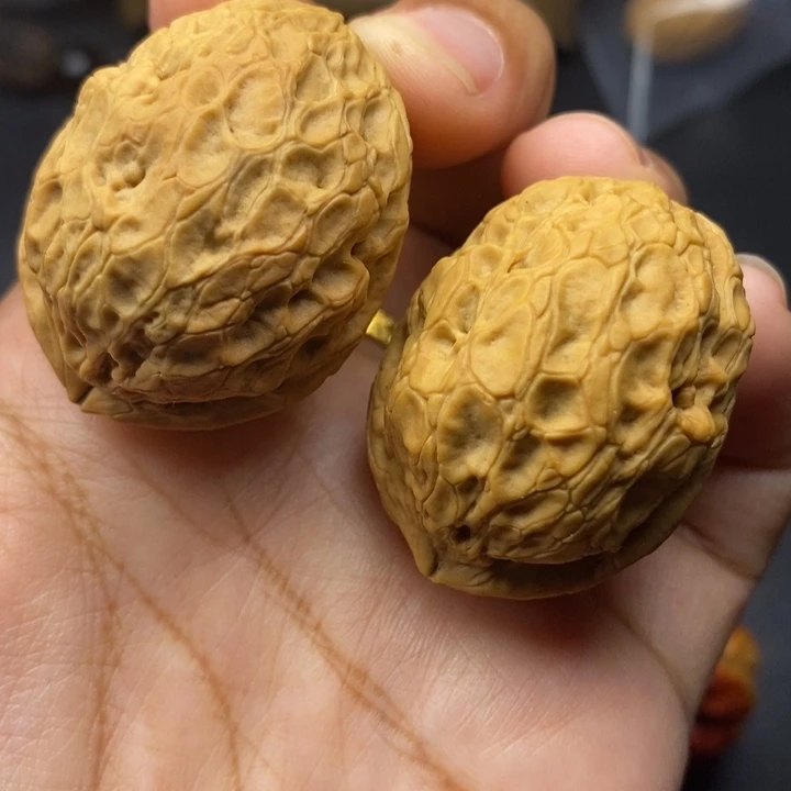 把件文玩核桃34尺穿山甲