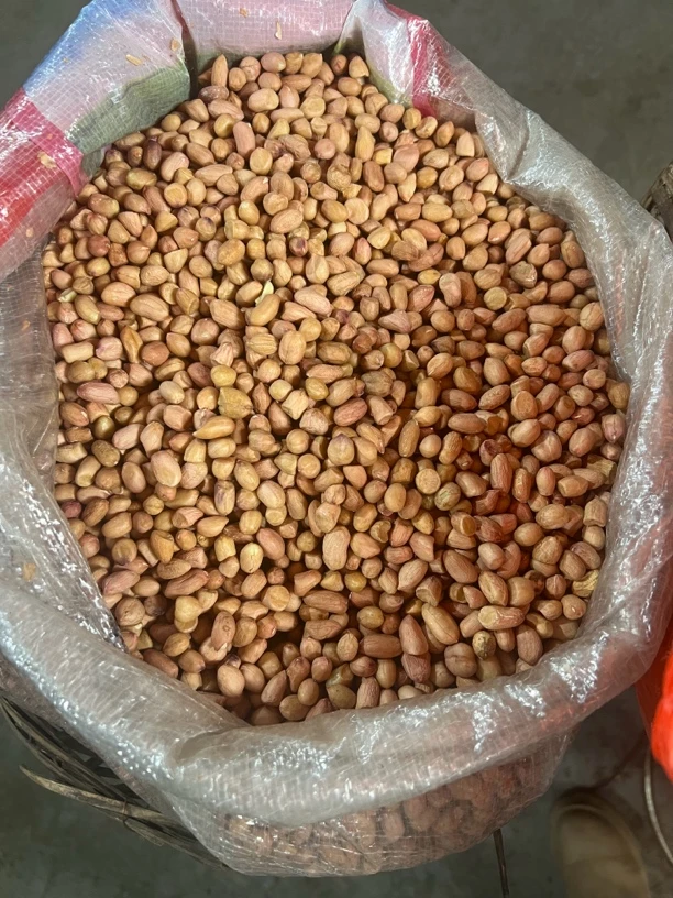 湘西本地粉皮花生米