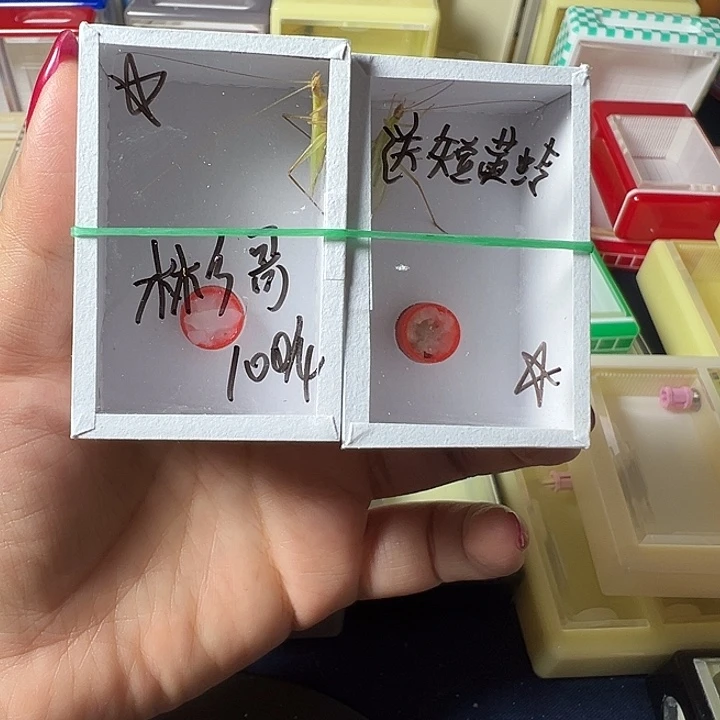彬***哥蟋蟀哈哈哈哈哈哈哈哈哈哈哈