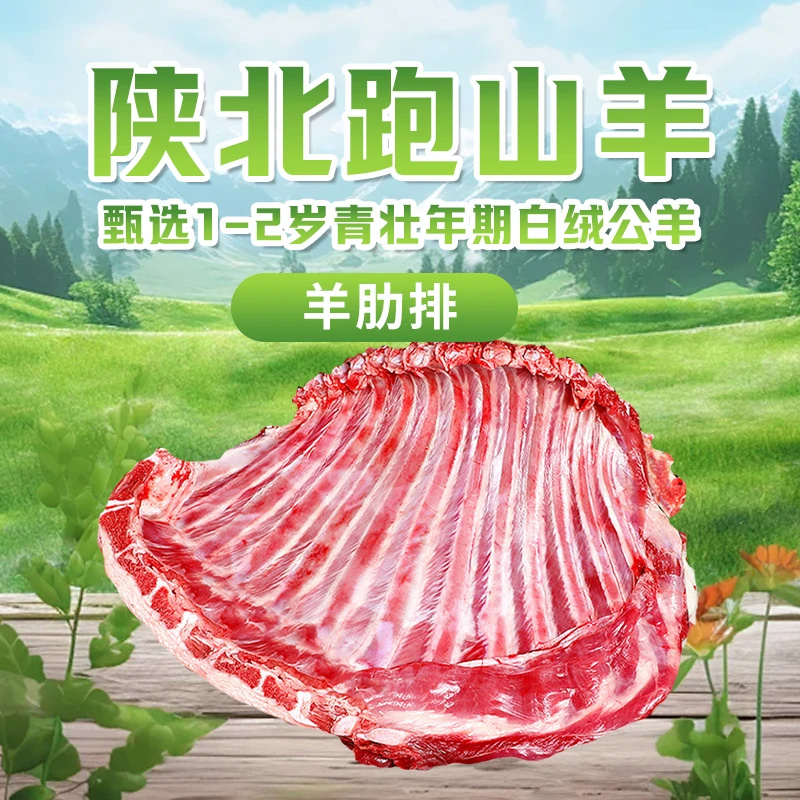 新粉福利 地道陕北跑山羊 精细分割 新鲜羊肋排 精排骨