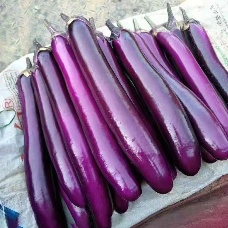 新鲜茄子1斤