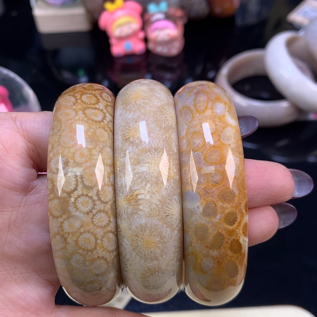 【闪购商品】颈饰未镶嵌硅化珊瑚（珊瑚玉）太***亮