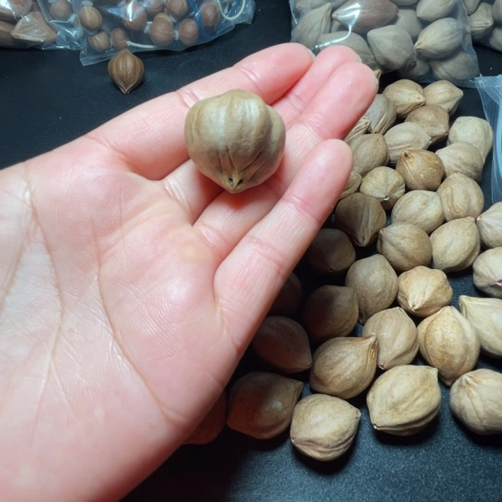 猪牙手串/手链我是
