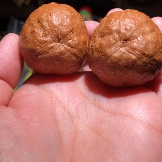 金刚菩提吊坠三瓣南瓜金刚36