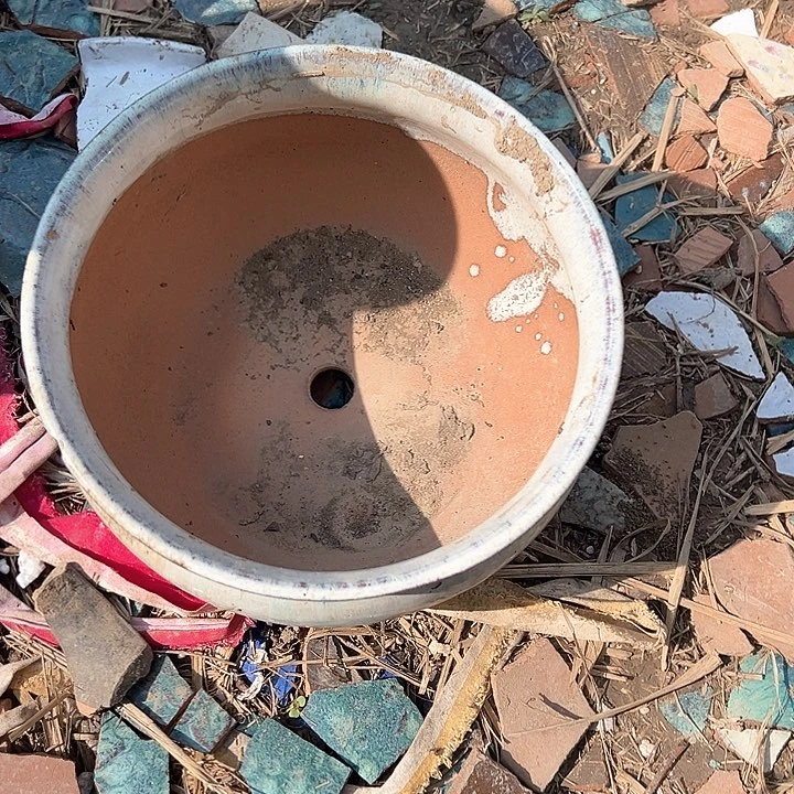 口20高12瑕疵。。。。。。。。。。。。。。。。