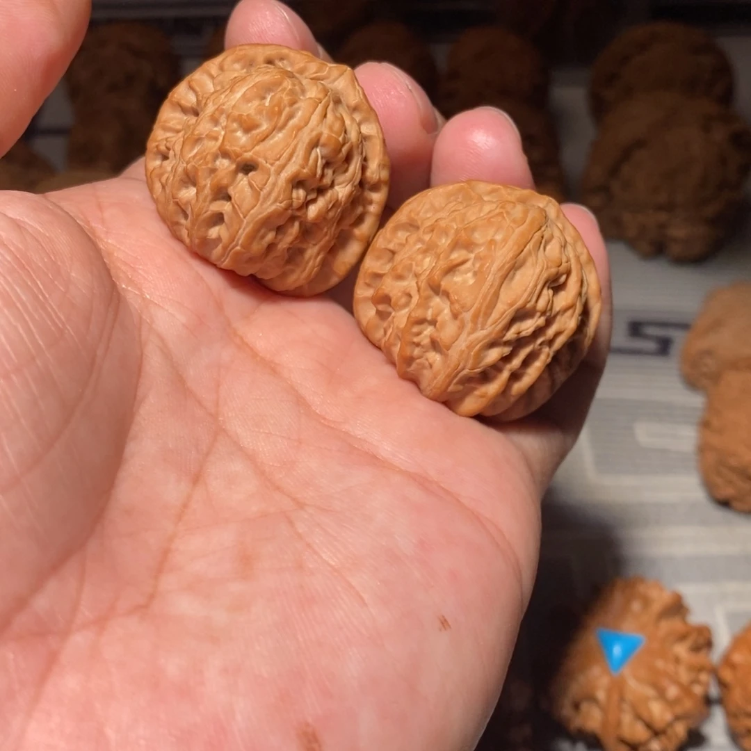 文玩核桃把件009三角白33尺