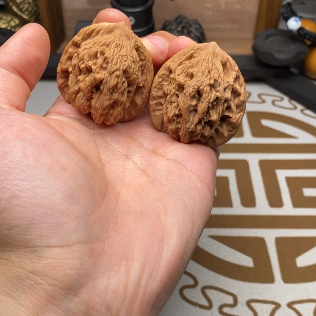 虎头40哈哈哈哈哈哈哈哈哈