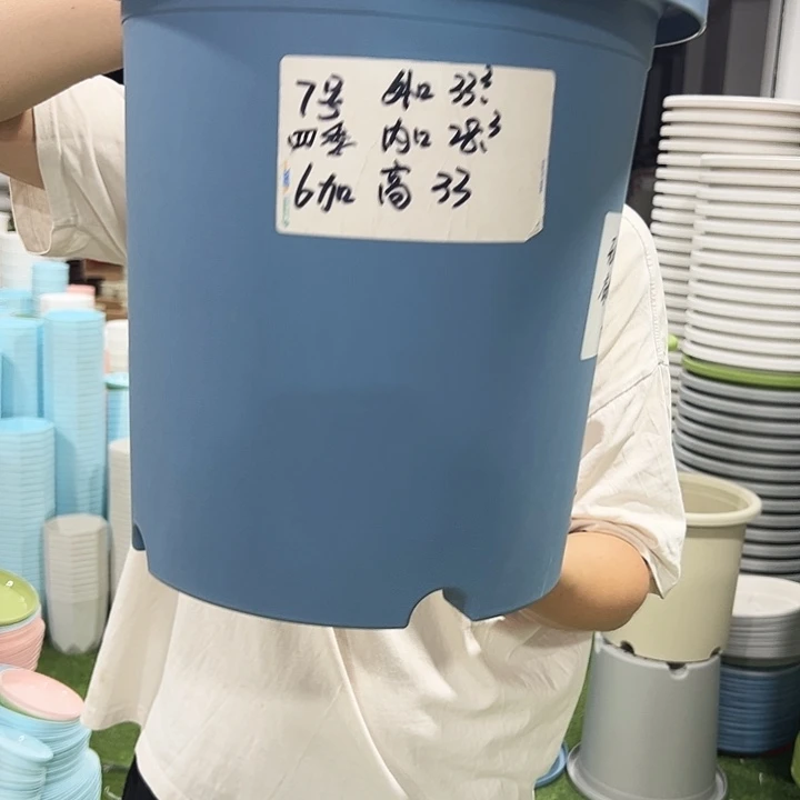 特价7号口33高33蓝色6支无托