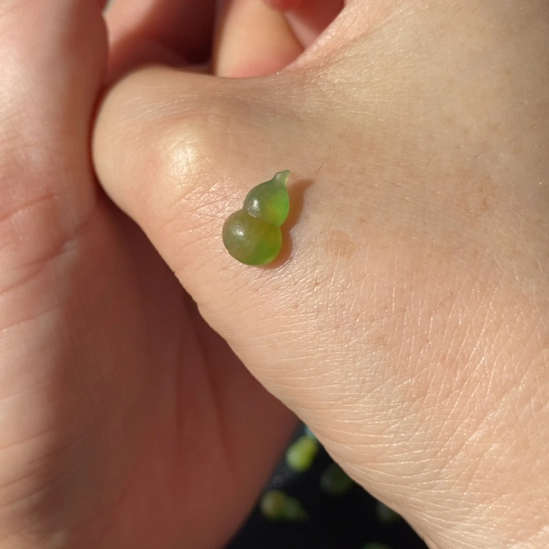 阿***臻定制翡翠未镶嵌葫芦