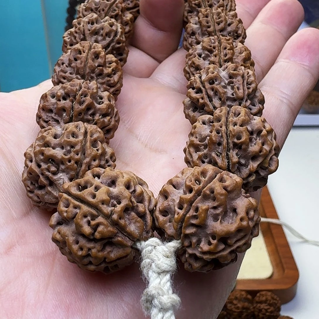 金刚菩提手串粗筋蜂窝双龙