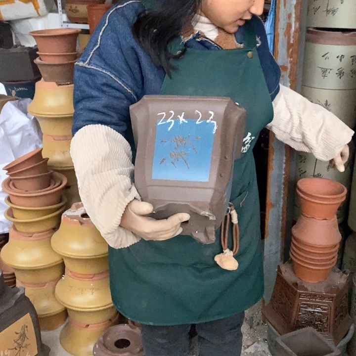 紫砂花盆盆栽花卉苗木种植