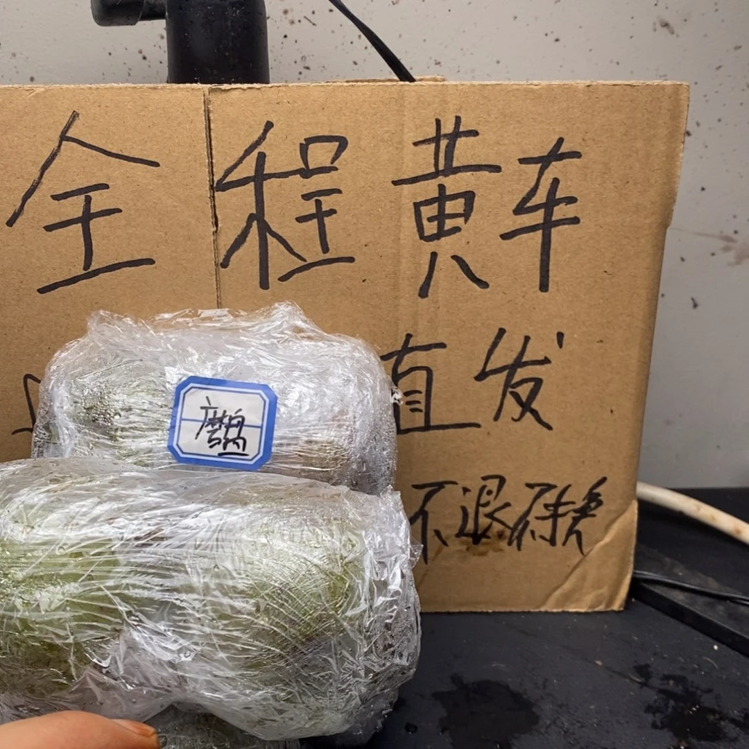 zwf产地直发苹果园18