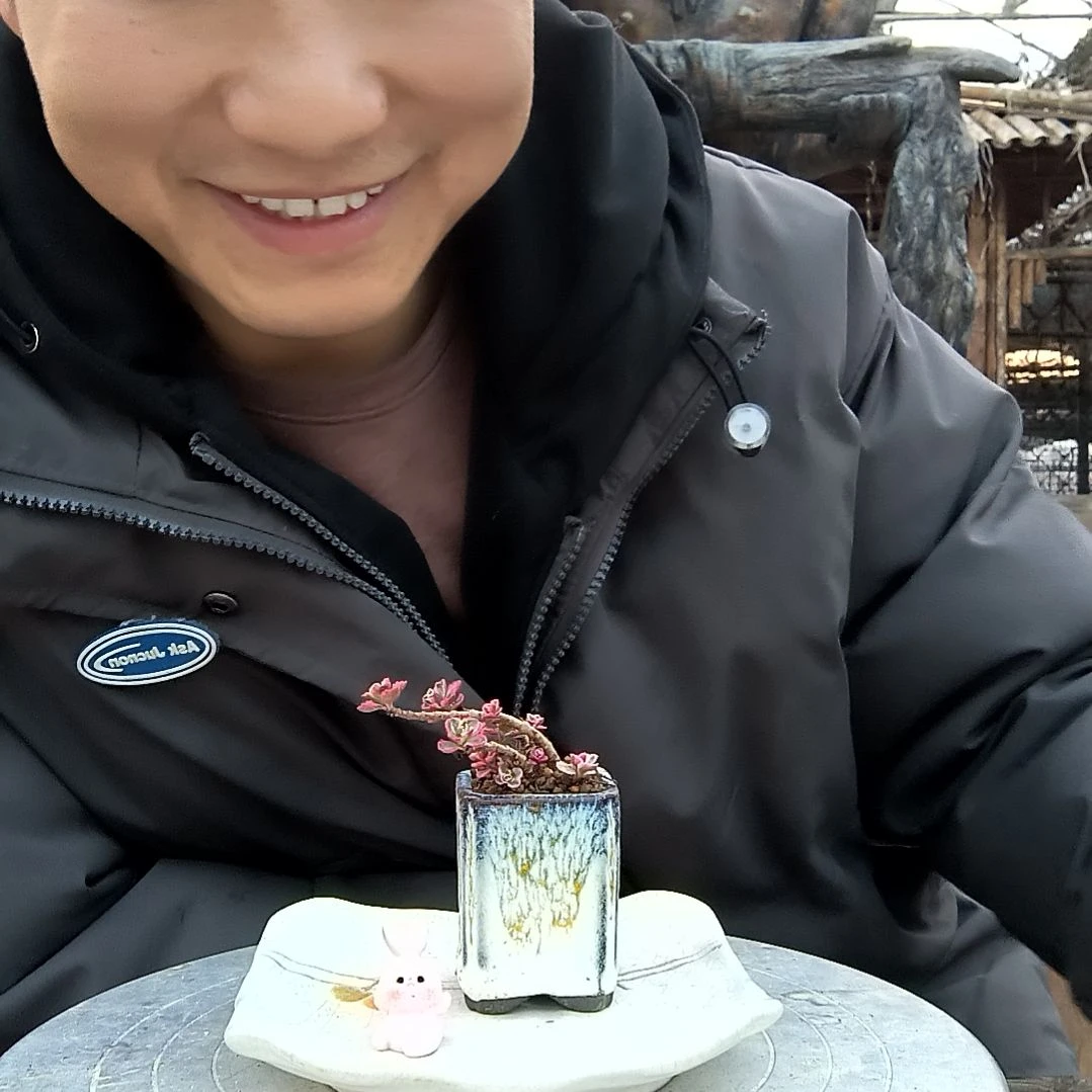 阿*小盆景小植物一物一拍6