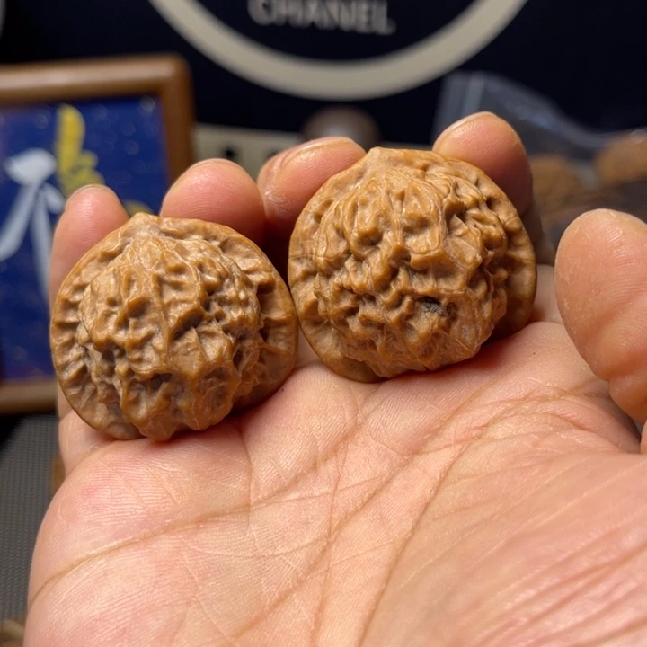 手串/手链核桃37瓷娃娃