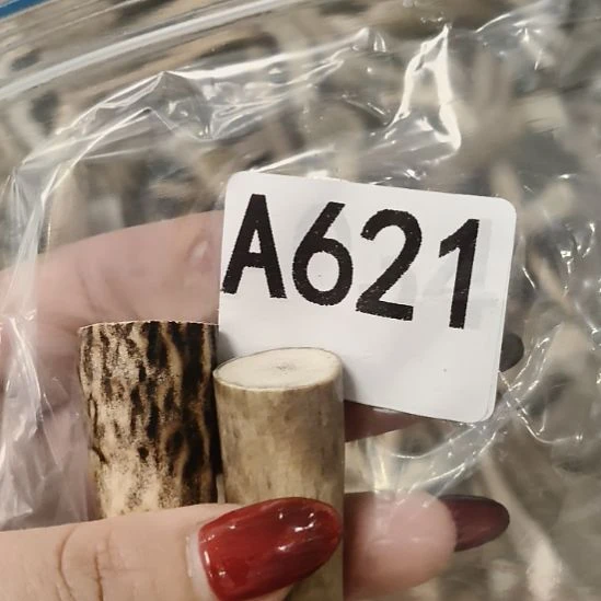 鹿角鹿角鹿角鹿角鹿角鹿角