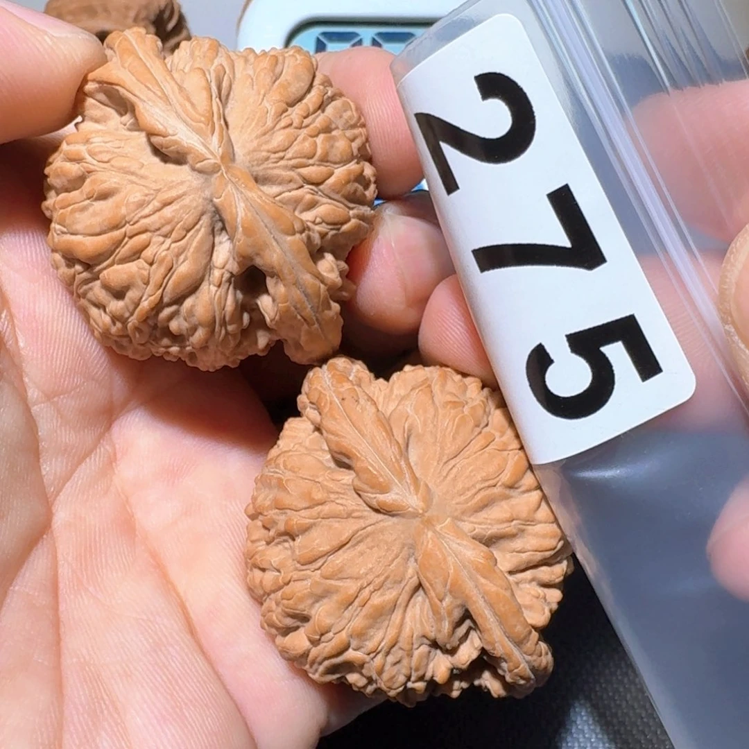羽***部把件文玩核桃白狮子44