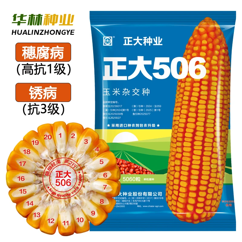 正大506高产量玉米种子籽高抗穗腐病锈病斑病耐高温耐密植抗倒伏