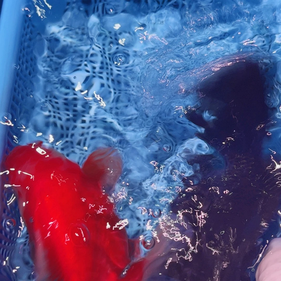 狮头鱼直播间一物一拍38