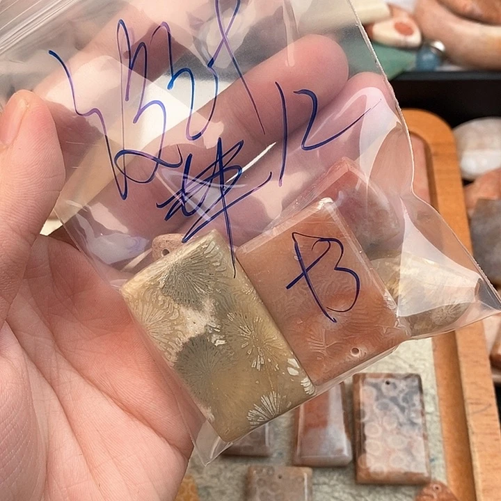 硅化玉颈饰未镶嵌设****毅