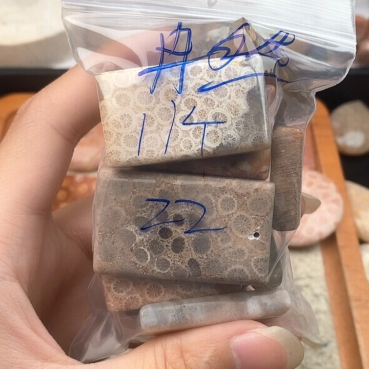 冉***.硅化玉未镶嵌颈饰
