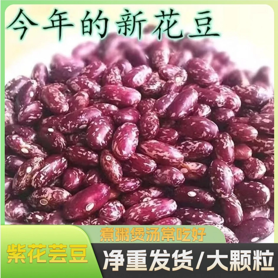 东北紫花芸豆新紫芸豆酸菜花芸豆豆米四季豆农家新豆煮粥煲汤炖肉
