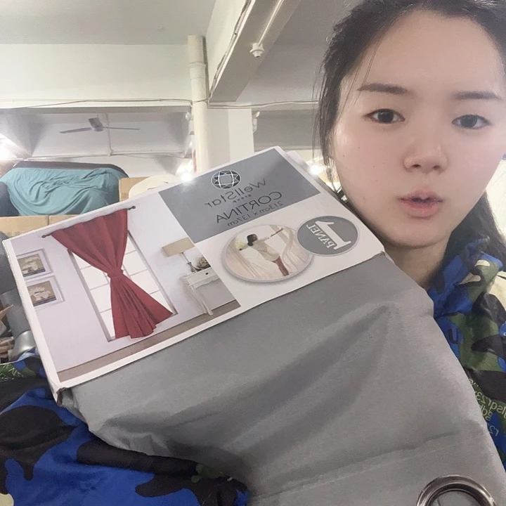 玻璃灰色窗纱一对