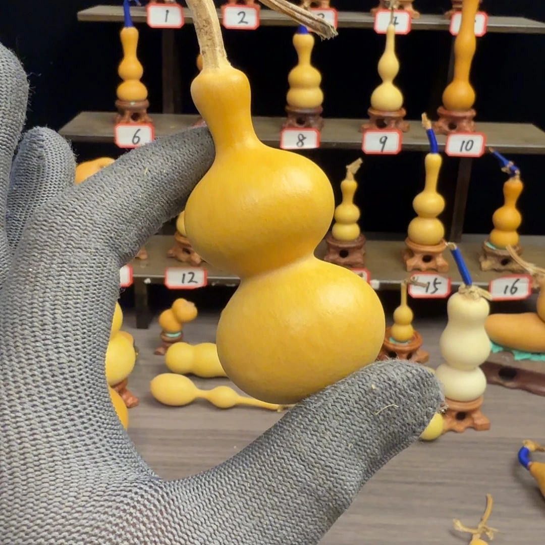 灰***狼木这个时候应该可以