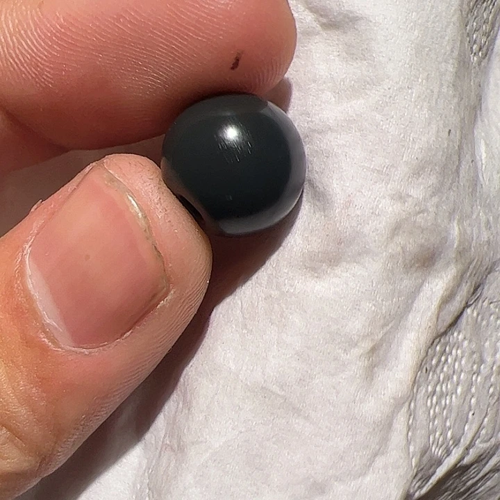 香榧木日**花在家了一个小时