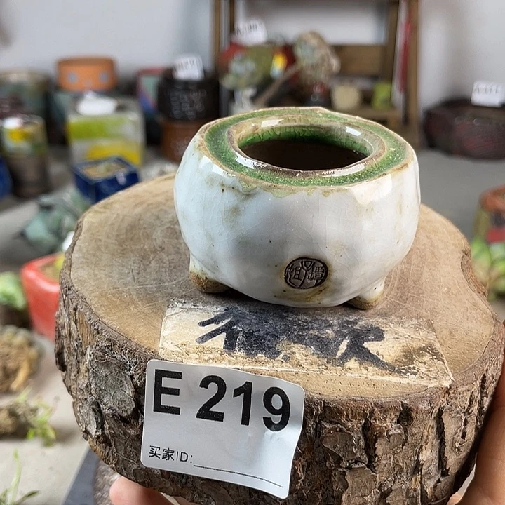 任意发一个 默认微次