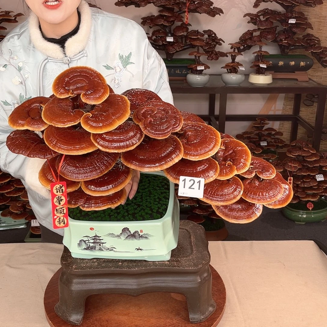 万事如意888888121