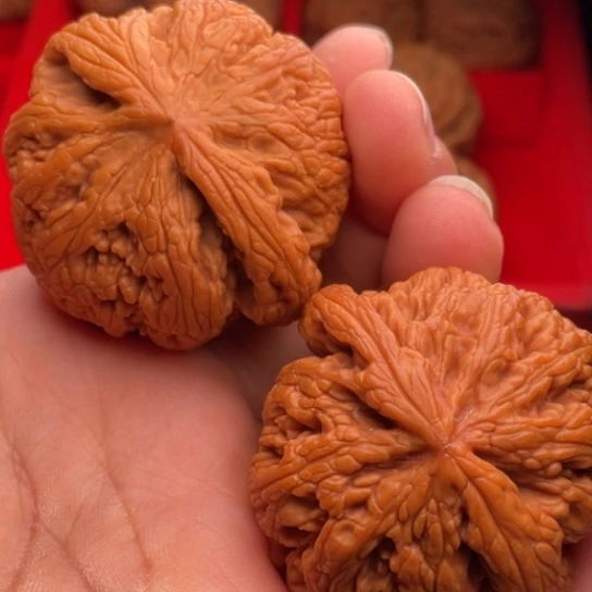 文玩核桃把件秦岭山脉核桃