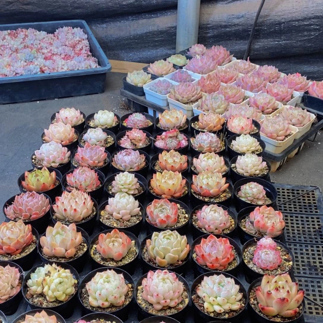 158的人在一起了。我在这里