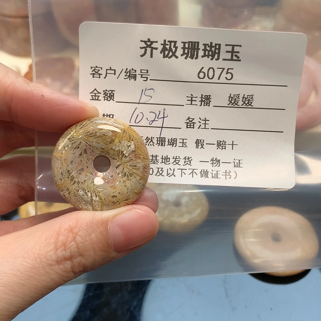 颈饰未镶嵌硅化珊瑚（珊瑚玉）闪*