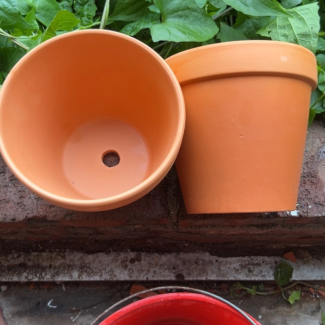 先行版15口14高2个【微瑕】