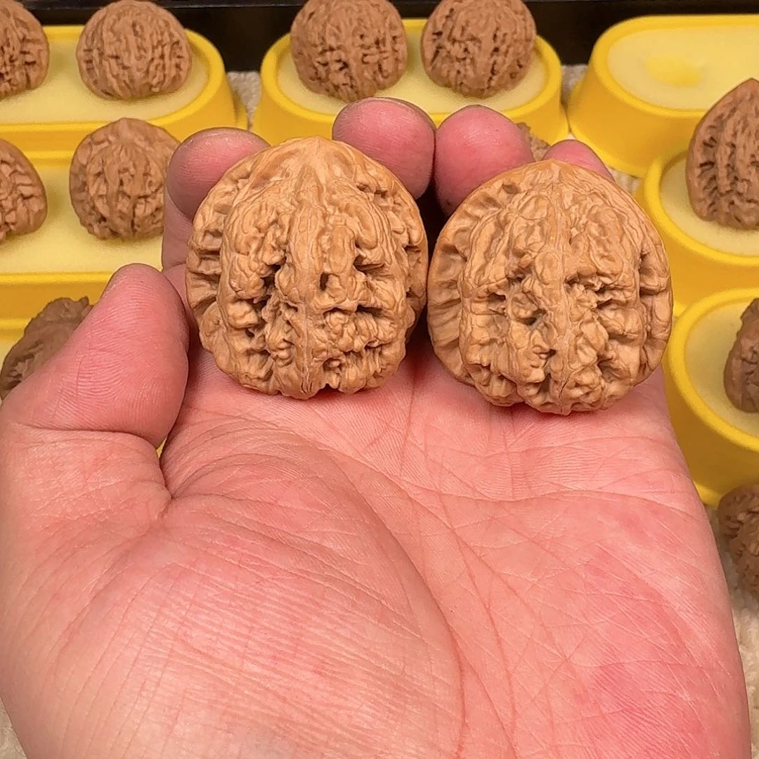 核桃手串/手链大粗筋微修 尺寸39