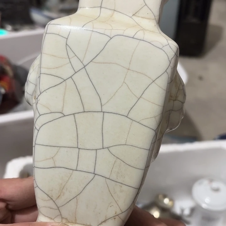 星***~杂色豆（科檀/科特迪瓦檀木）