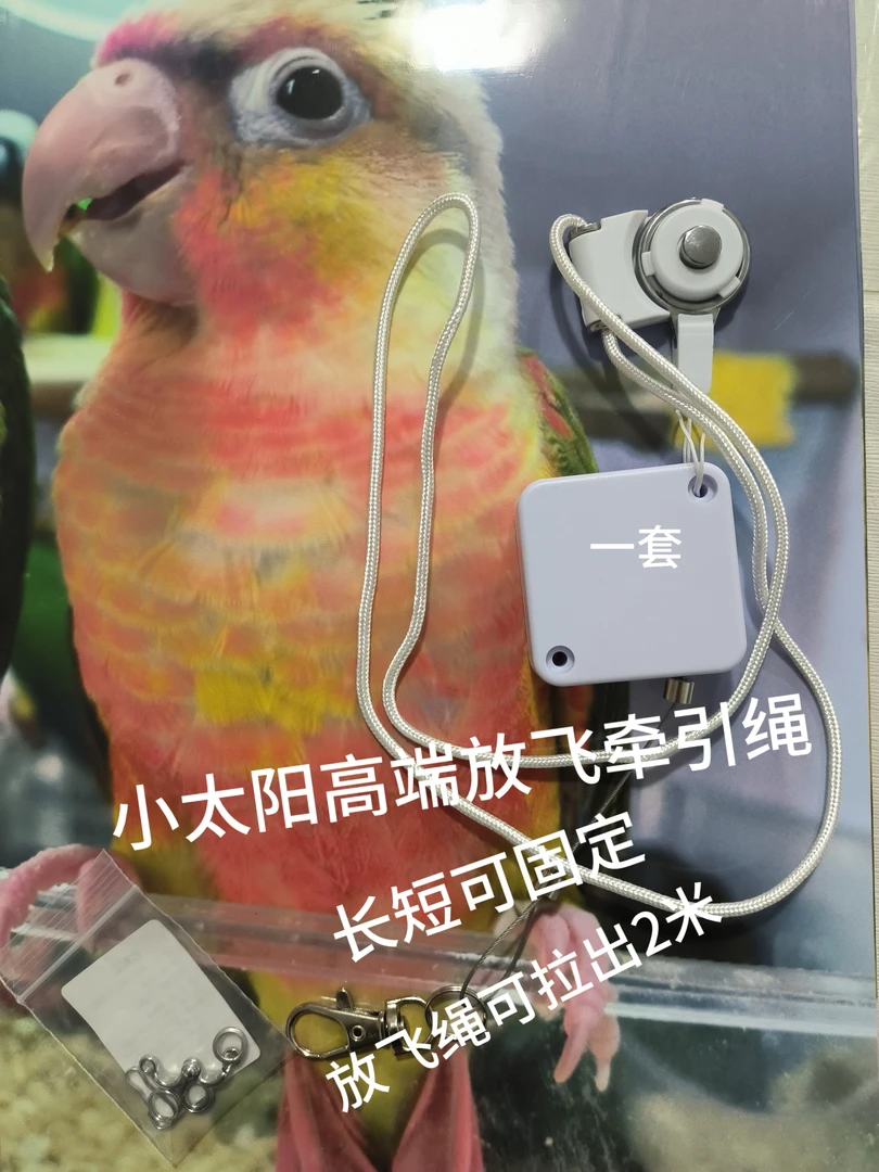 小太阳鹦鹉伸缩放飞绳，西藏新疆不发，备注电话号收取件码