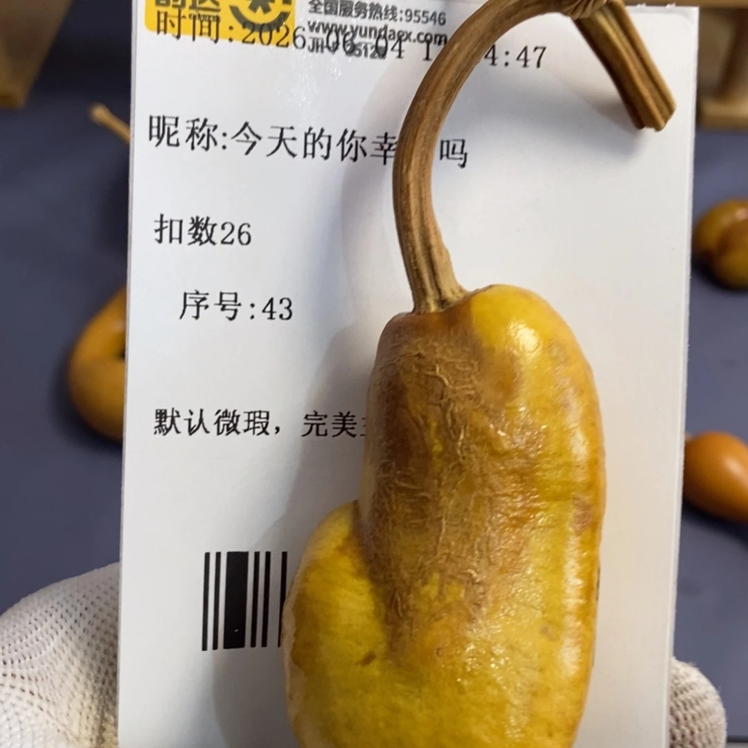 今****吗哈哈哈哈哈哈哈哈哈哈