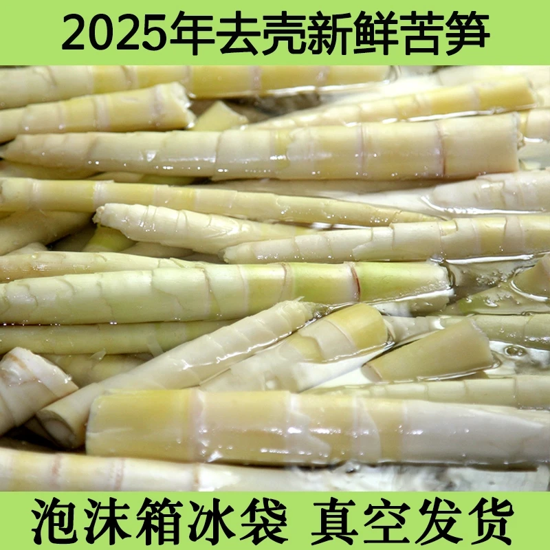乐昌新鲜客家苦笋去壳野生小笋真空包装清水苦笋时令蔬菜农家特产