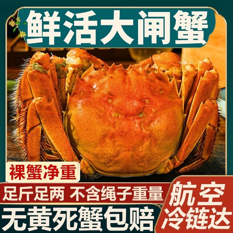 【公母对半 活蟹】4两公+3两母 8/10只 苏州精品大闸蟹