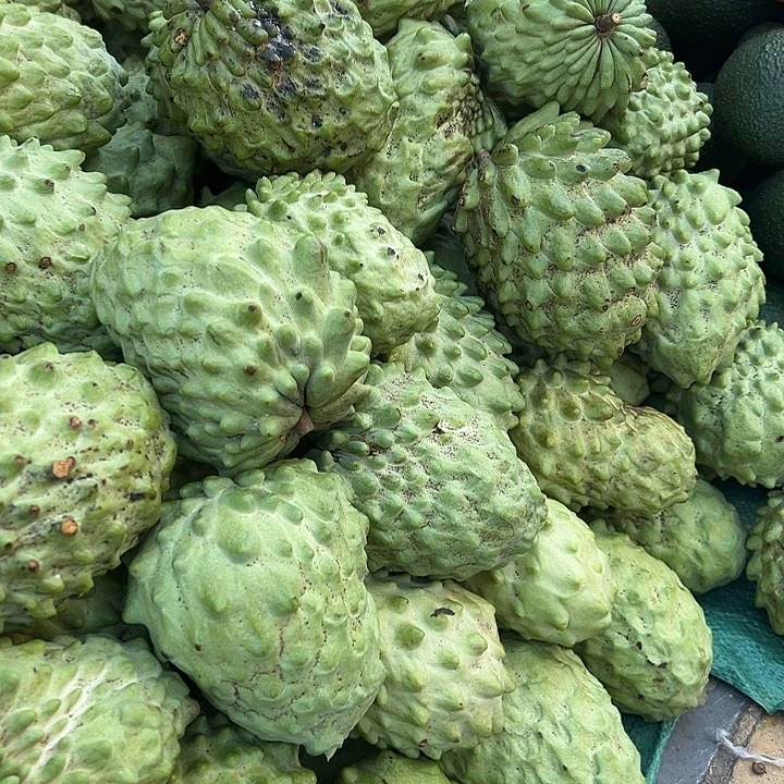 中国大陆释迦果5斤