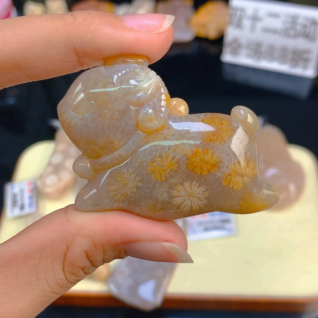 【闪购商品】颈饰未镶嵌硅化珊瑚（珊瑚玉）75号羊