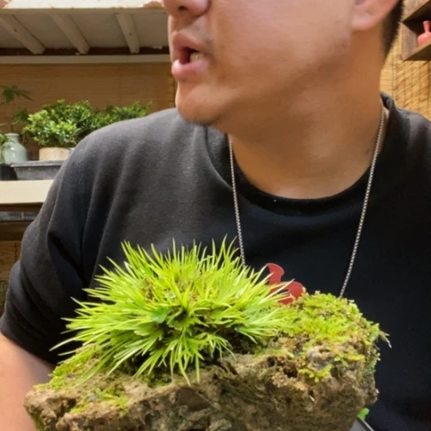 红陶✨*一物一拍所见即所得213