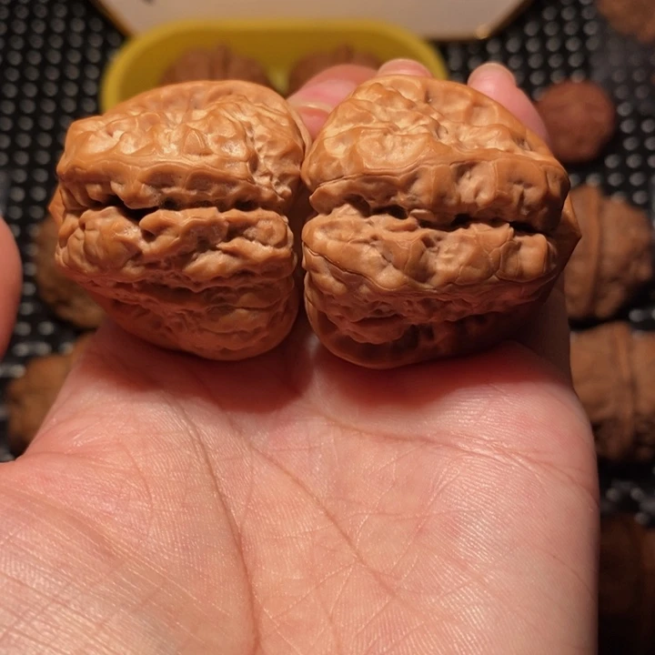 文玩核桃把件蛙王四深开背八腿