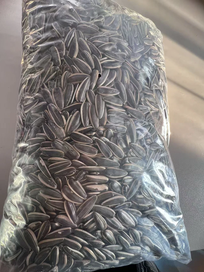 【干炒瓜子】2025年大颗粒干炒瓜子内蒙新瓜子（两种包装随机发货）