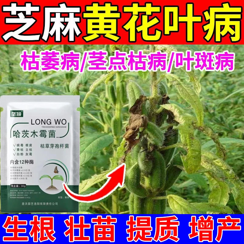 芝麻黄叶病叶面肥以菌抑菌提质增产改善土壤肥料防烂根卷叶炭疽病