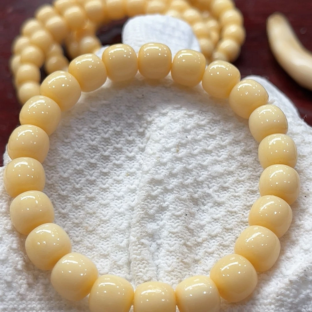 骆驼牙手串/手链骆驼牙手串4