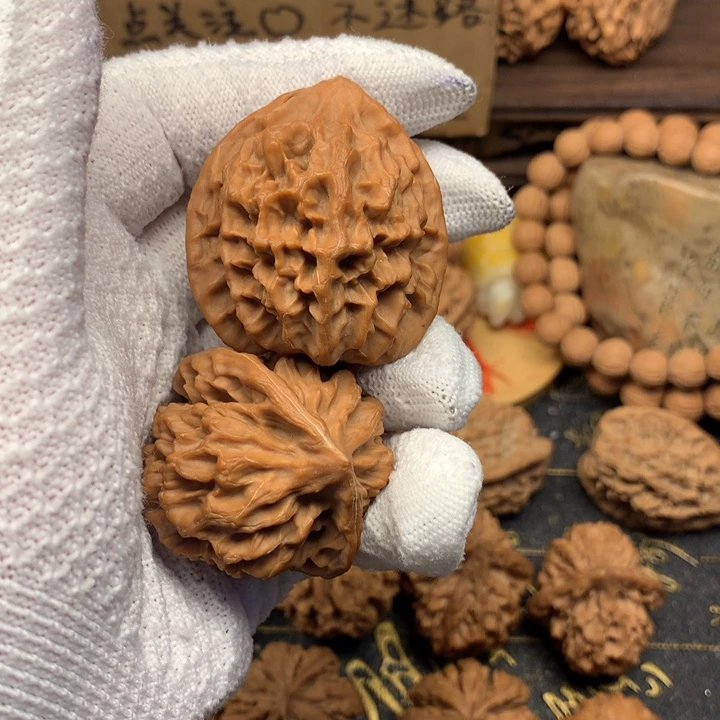 阔*子41尺秦岭野生红皮帝王官帽
